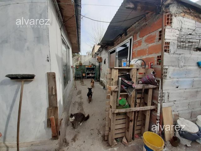 place photo 14