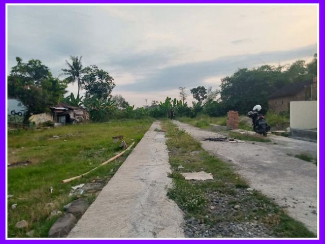 place photo 5