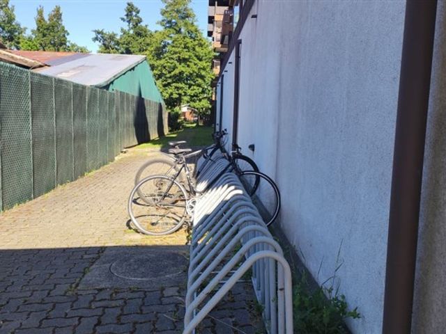 place photo 27