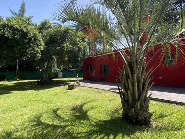 place photo 38
