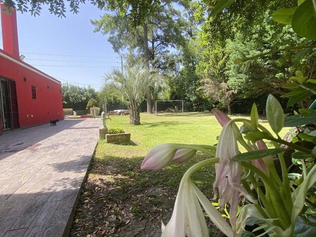 place photo 39
