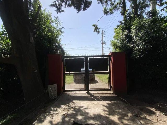 place photo 46