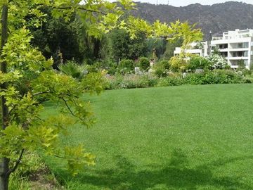 place photo 43