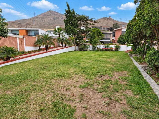 place photo 60