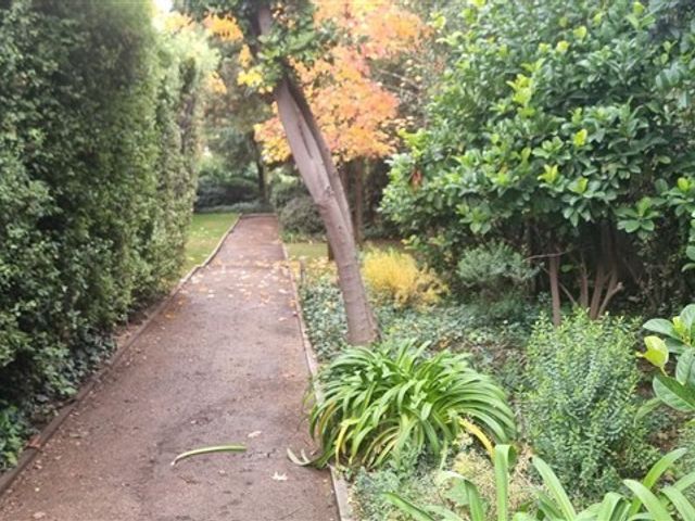 place photo 32