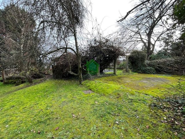 place photo 38