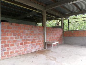 place photo 24