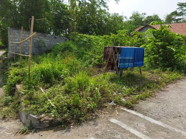 place photo 5