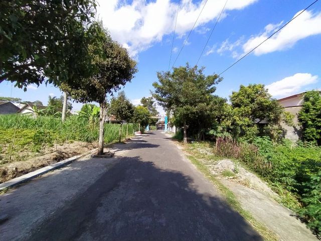 place photo 3