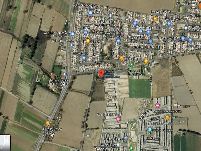 place photo 17