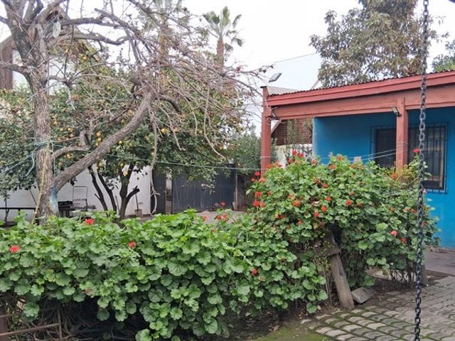 place photo 21