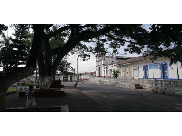 place photo 24
