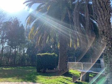 place photo 23