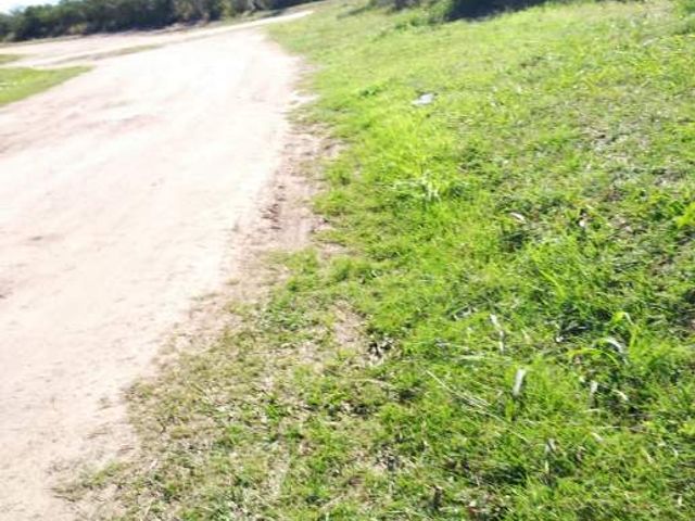 place photo 39