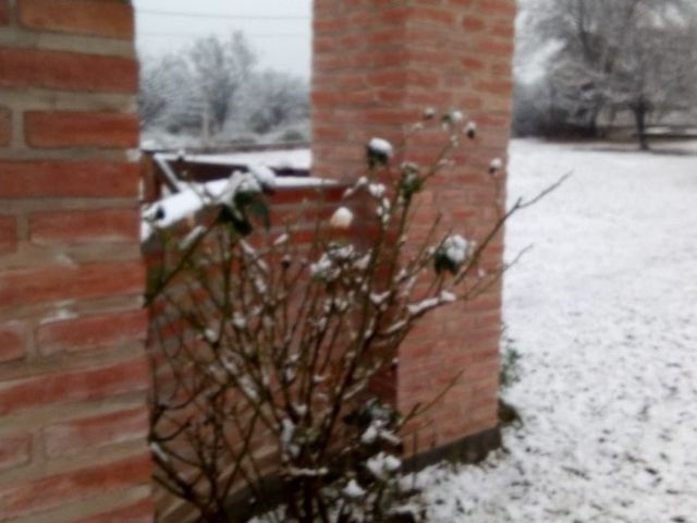 place photo 44