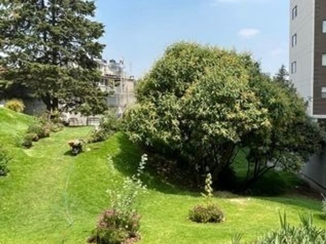 place photo 43