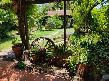 place photo 24