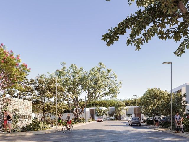 place photo 23