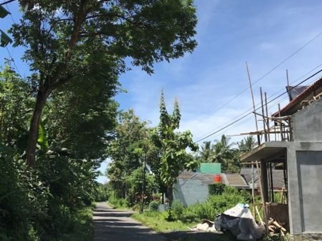 place photo 4