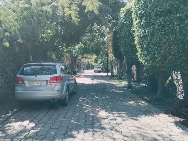 place photo 57