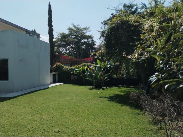 place photo 54