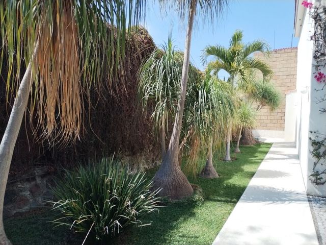 place photo 48