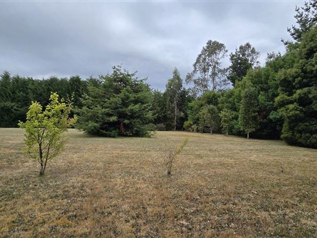 place photo 26