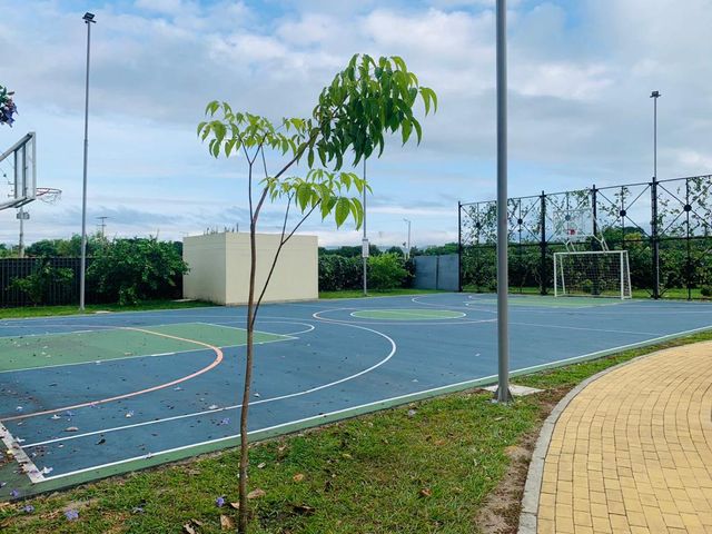 place photo 18