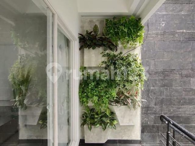 place photo 30