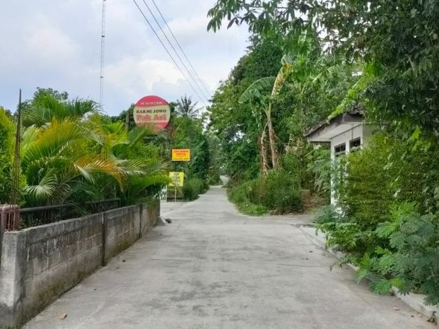 place photo 7