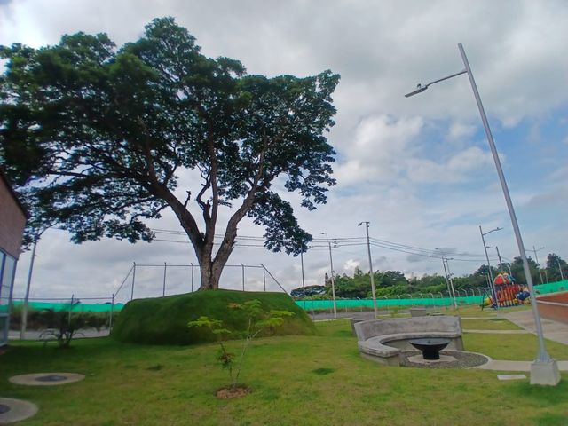 place photo 18