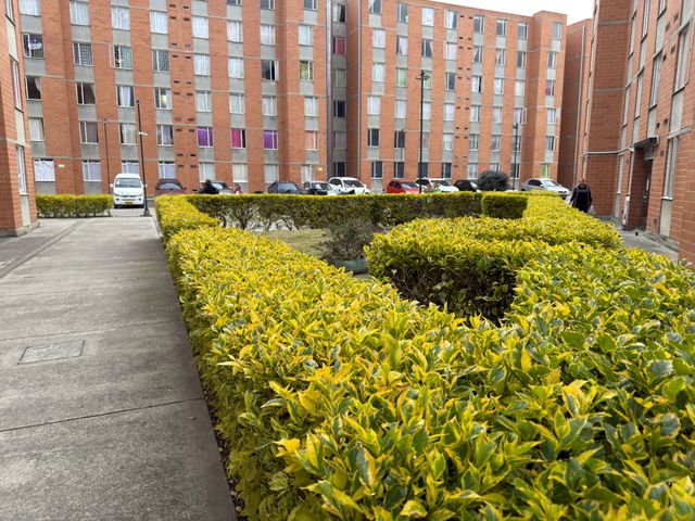 place photo 27