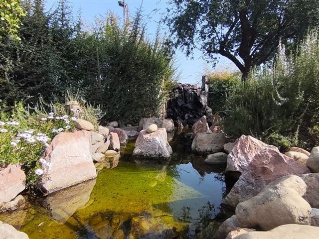 place photo 36