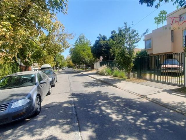 place photo 40