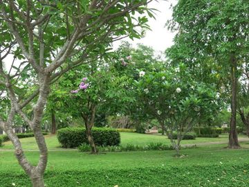 place photo 37