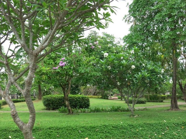 place photo 37