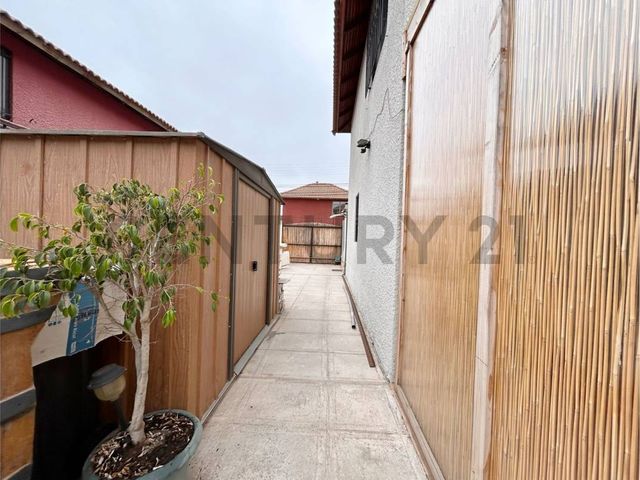 place photo 29