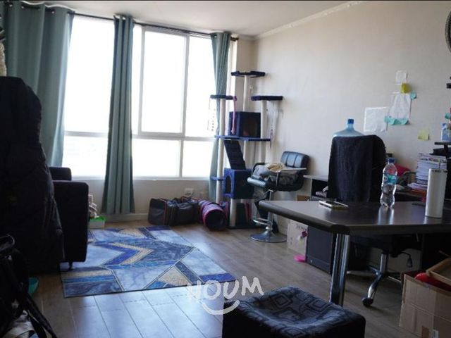 place photo 49