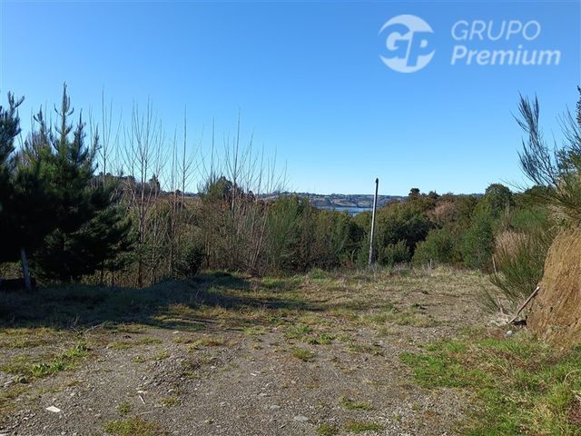 place photo 41