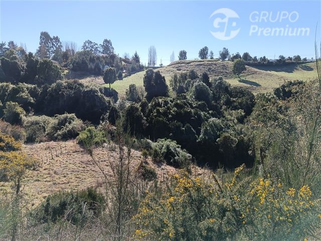 place photo 38