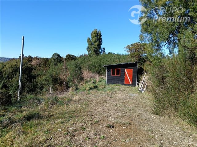 place photo 42