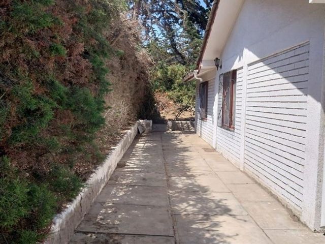 place photo 74