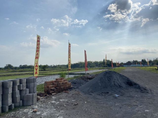 place photo 3