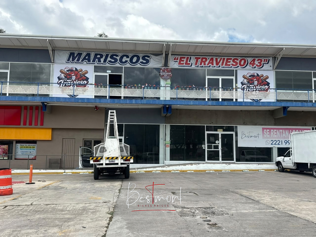 place photo 19