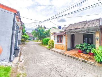 place photo 16