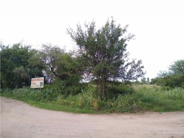 place photo 9