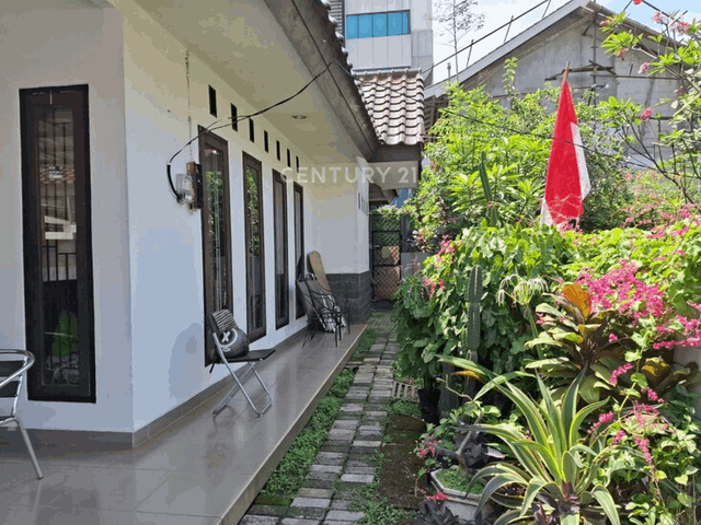 place photo 2