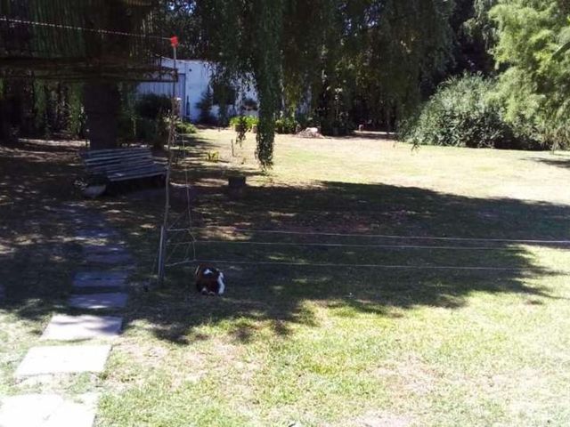 place photo 21