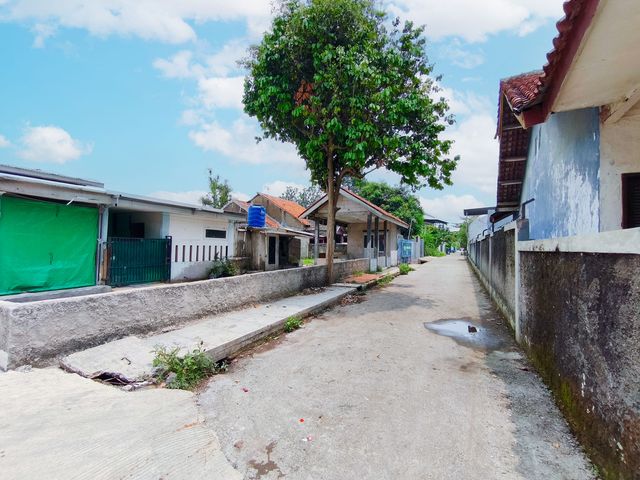 place photo 12