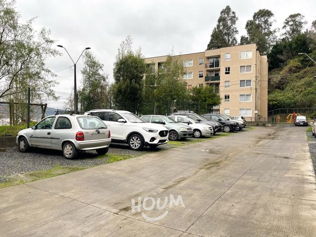 place photo 26